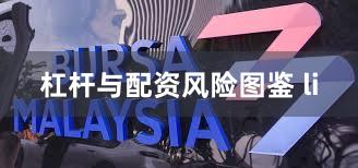 杠杆与配资风险图鉴 li